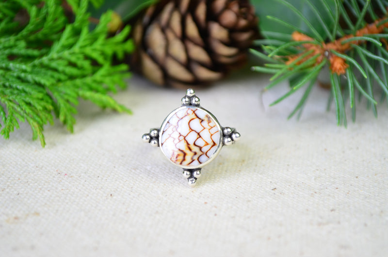 Snake Pattern Shell Ring (Size 8 1/2)