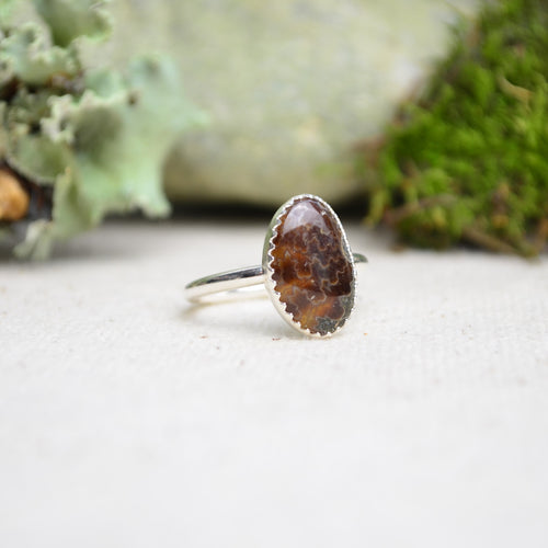 Fossilized Ammonite Stacking Ring (Size 6)