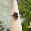 Fossilized Ammonite Stacking Ring (Size 6)