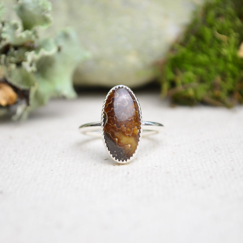 Fossilized Ammonite Stacking Ring (Size 8)