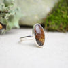 Fossilized Ammonite Stacking Ring (Size 8)