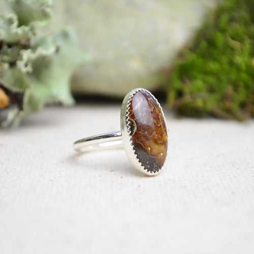 Fossilized Ammonite Stacking Ring (Size 8)