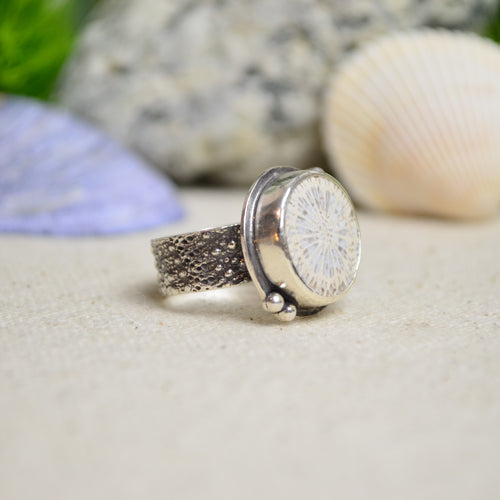 Fossilized Coral Ring w/ Urchin Shell Band (Size 6)