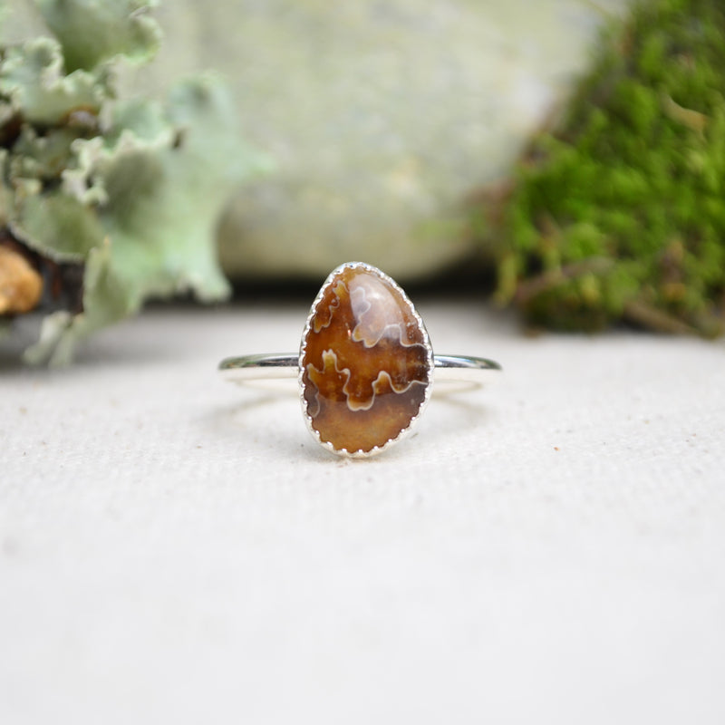 Fossilized Ammonite Stacking Ring (Size 9 1/2)