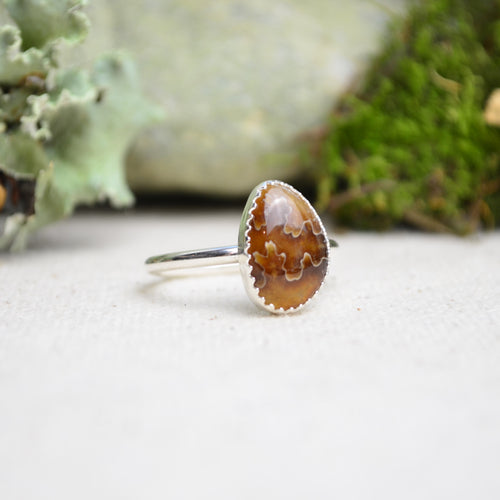 Fossilized Ammonite Stacking Ring (Size 9 1/2)