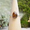 Fossilized Ammonite Stacking Ring (Size 9 1/2)