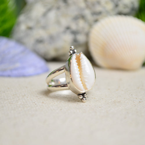 Cowrie Shell Split Band Ring (Size 7 1/4)