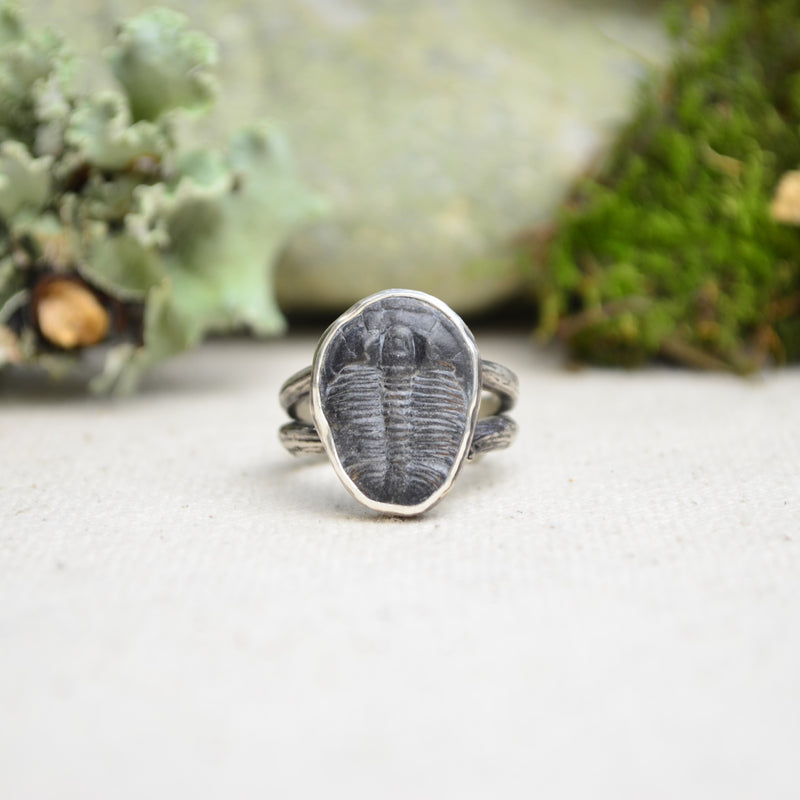Fossilized Trilobite Ring w/ Organic Twig Split Band (Size 6 1/2)