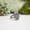 Fossilized Trilobite Ring w/ Organic Twig Split Band (Size 6 1/2)