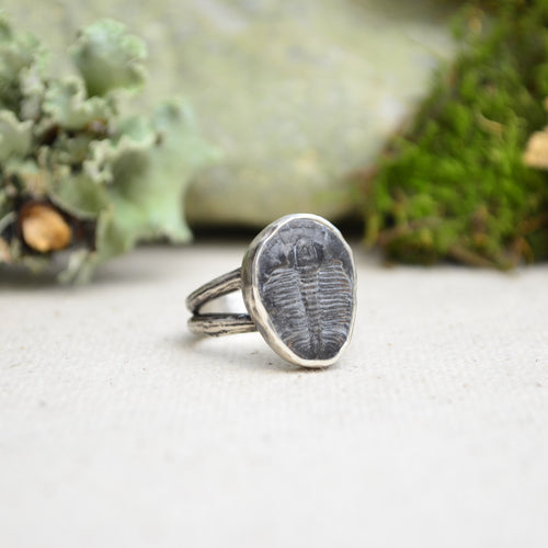 Fossilized Trilobite Ring w/ Organic Twig Split Band (Size 6 1/2)