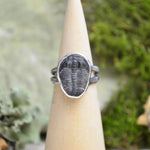 Fossilized Trilobite Ring w/ Organic Twig Split Band (Size 6 1/2)
