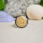 Fossilized Coral Ring w/ Urchin Shell Band (Size 7 1/4)