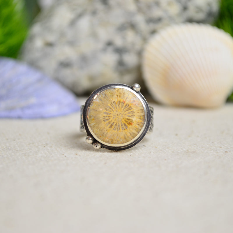 Fossilized Coral Ring w/ Urchin Shell Band (Size 7 1/4)