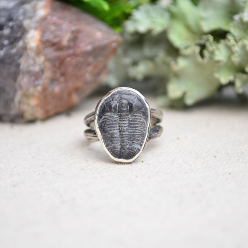 Fossilized Trilobite Ring w/ Organic Twig Split Band (Size 6 1/2)