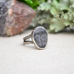 Fossilized Trilobite Ring w/ Organic Twig Split Band (Size 6 1/2)