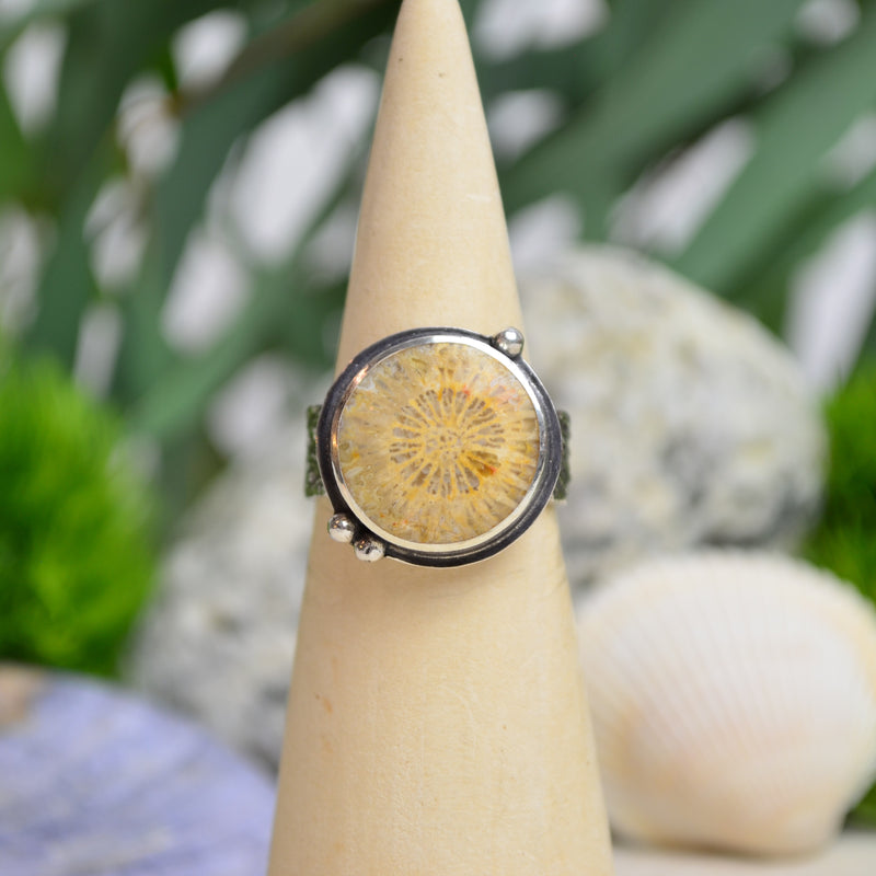 Fossilized Coral Ring w/ Urchin Shell Band (Size 7 1/4)