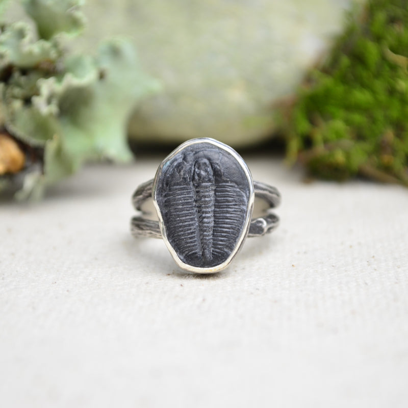 Fossilized Trilobite Ring w/ Organic Twig Split Band (Size 8)