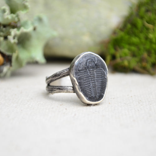 Fossilized Trilobite Ring w/ Organic Twig Split Band (Size 8)
