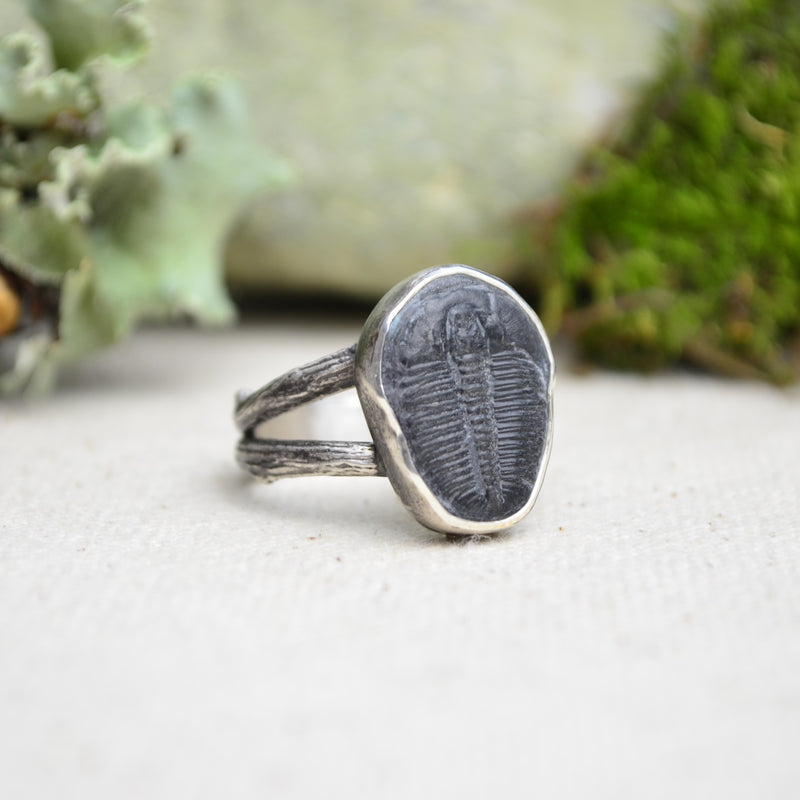 Fossilized Trilobite Ring w/ Organic Twig Split Band (Size 8)