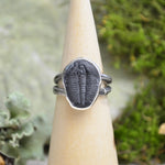 Fossilized Trilobite Ring w/ Organic Twig Split Band (Size 8)