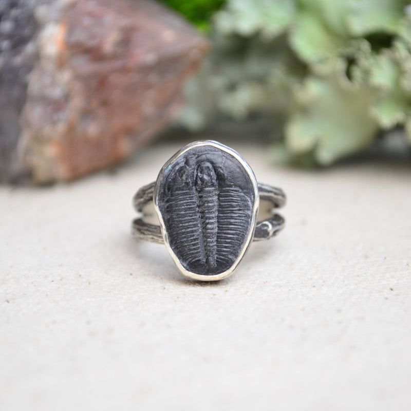Fossilized Trilobite Ring w/ Organic Twig Split Band (Size 8)