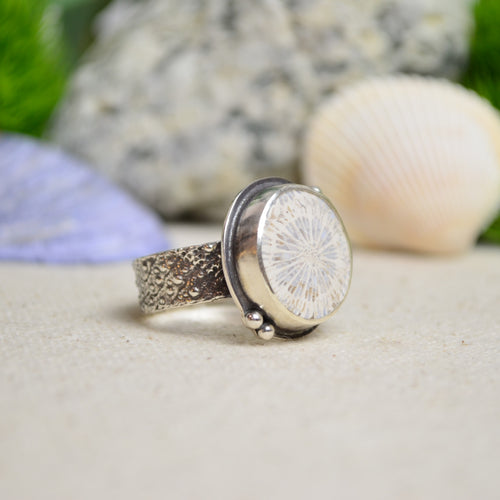 Fossilized Coral Ring w/ Urchin Shell Band (Size 9)
