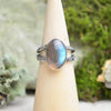 Labradorite Ring w/ Organic Twig Split Band (Size 9)