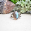 Labradorite Ring w/ Organic Twig Split Band (Size 9)