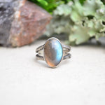 Labradorite Ring w/ Organic Twig Split Band (Size 9)