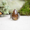 Fossilized Ammonite Textured Wide Band Ring (Size 7 1/4)