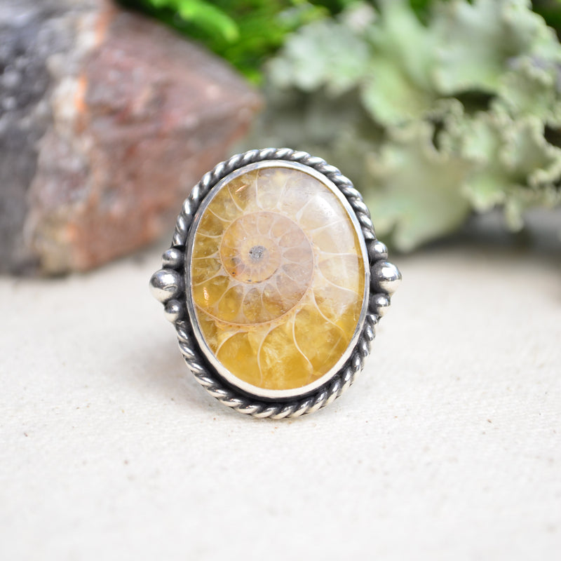 Fossilized Ammonite Wide Band Ring (Size 7 1/4)