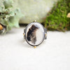 Dendritic Agate Textured Wide Band Ring w/ 14K Accents (Size 8 3/4)