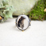 Dendritic Agate Textured Wide Band Ring w/ 14K Accents (Size 8 3/4)
