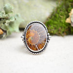 Fossilized Ammonite Wide Band Ring (Size 9 1/4)