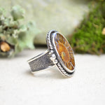 Fossilized Ammonite Wide Band Ring (Size 9 1/4)