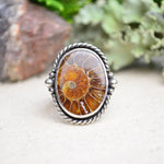 Fossilized Ammonite Wide Band Ring (Size 9 1/4)
