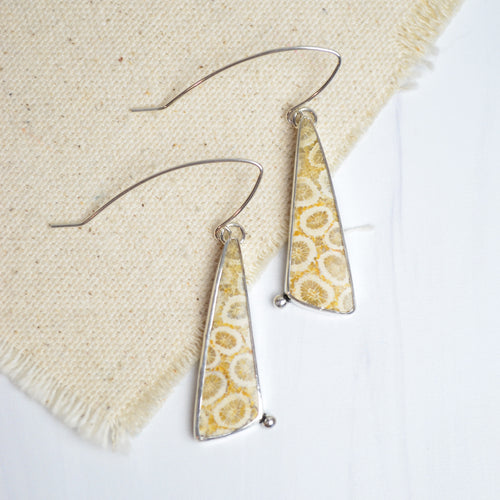 Fossilized Coral Earrings