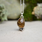 Fossilized Ammonite Charm Necklace