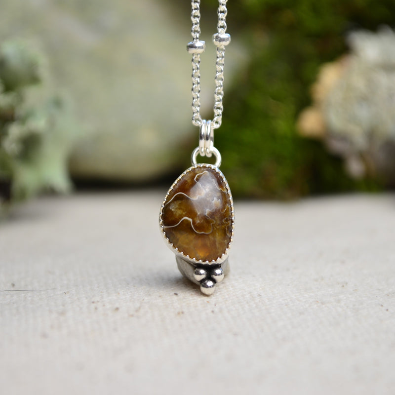Fossilized Ammonite Charm Necklace