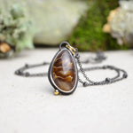 Fossilized Ammonite Necklace with 14K Yellow Gold Accents