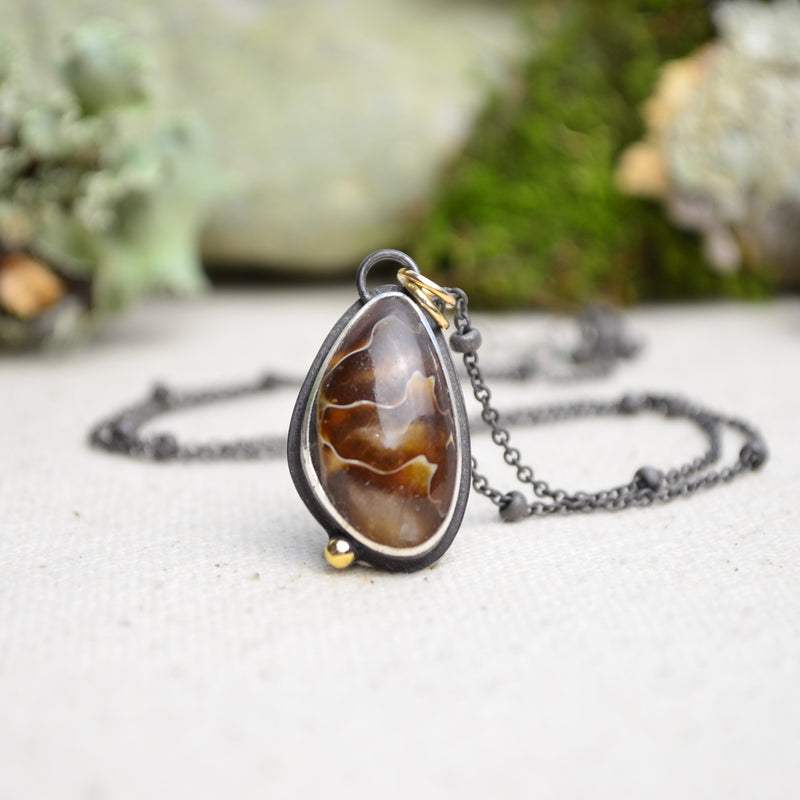 Fossilized Ammonite Necklace with 14K Yellow Gold Accents