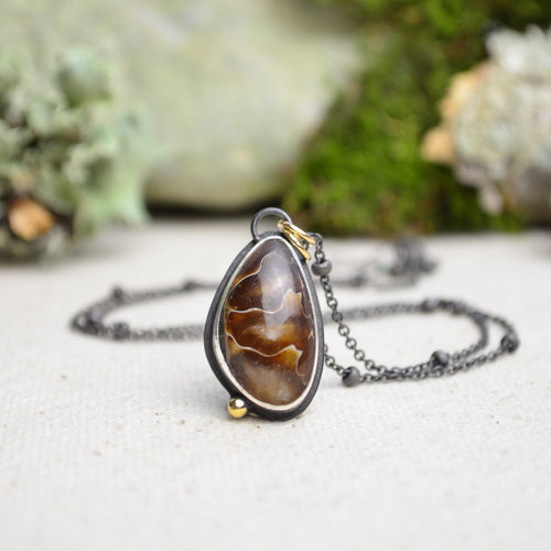 Fossilized Ammonite Necklace with 14K Yellow Gold Accents