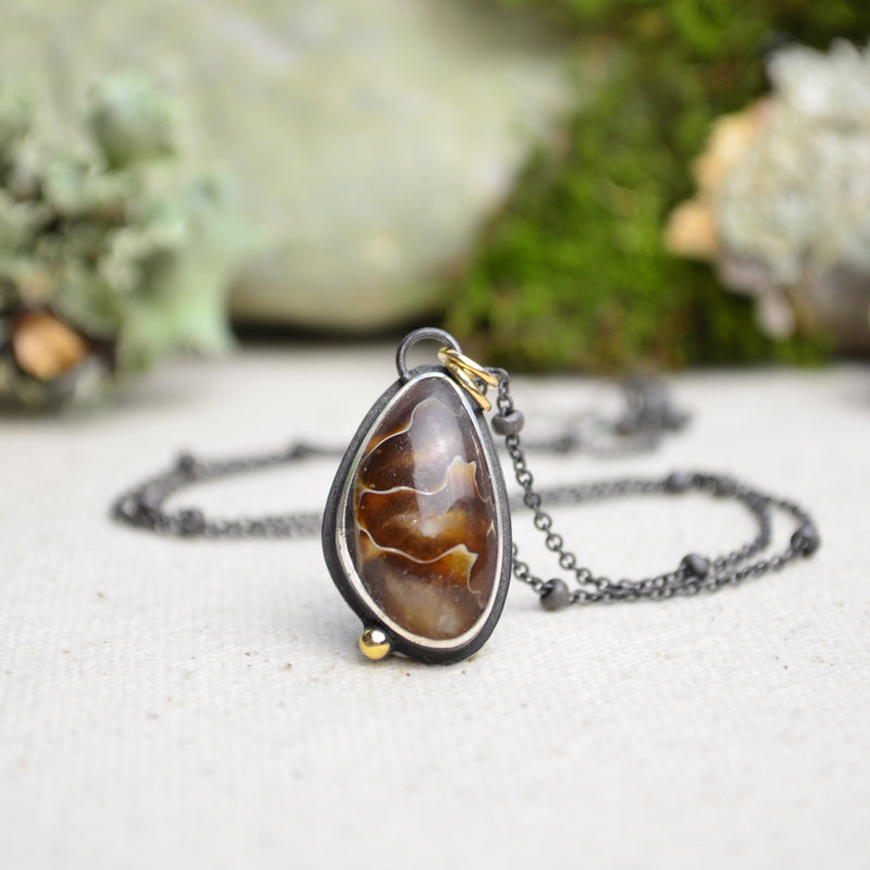 Fossilized Ammonite Necklace with 14K Yellow Gold Accents