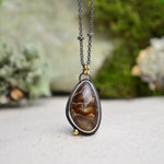 Fossilized Ammonite Necklace with 14K Yellow Gold Accents