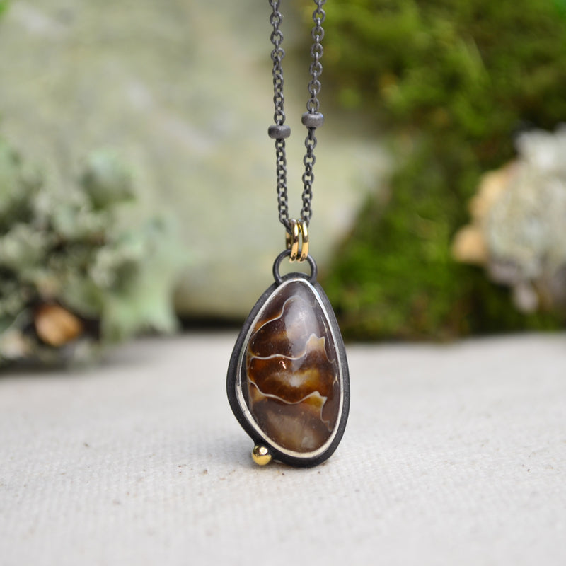 Fossilized Ammonite Necklace with 14K Yellow Gold Accents