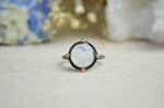 Carved Rainbow Moonstone Moon Face Ring w/ 14K Accents (Size 7 1/2)