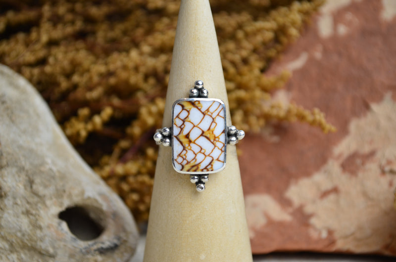 Snail Shell Ring (Size 8 1/2)