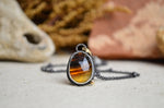 Montana Agate Necklace with 14K Yellow Gold Accents